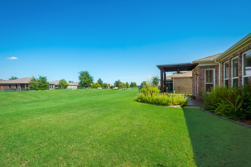    Grassy Backyard with Lush Landscaping Backs to Greenbelt 