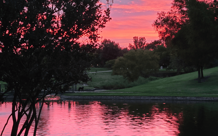 Sunset in a park in Plano, TX with water and trees
